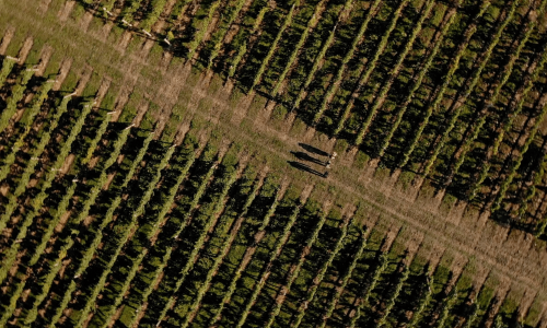 [VIDEO] Turistička zajednica Zagrebačke županije predvodi u izboru za najbolji svjetski turistički film