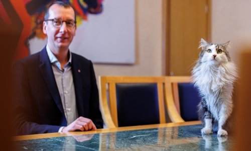 Gradonačelnik Rijeke traži da mu se poveća plaća. Kaže da ne radi to zbog sebe nego zbog drugih