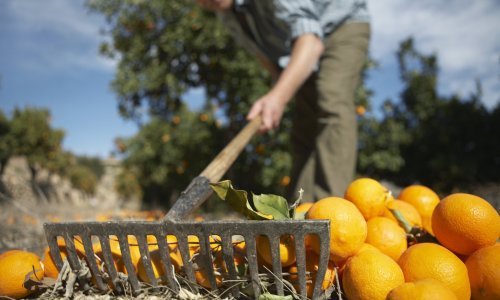 Potresne činjenice o negativnim učincima prehrambene industrije