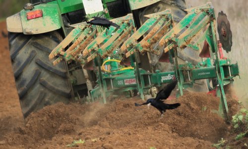 Policiji dolijao mladić koji je ukradenim traktorom oštetio zemljišta pa sletio u Staru Dravu
