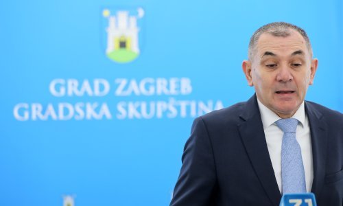 Lovrić i roditelji odgajatelji podnijeli ustavnu tužbu protiv presude Visokog upravnog suda