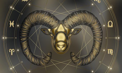 Ovom horoskopskom znaku smisao za takt definitivno nije jača strana