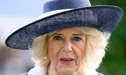 Kraljica Camilla se odriče dugogodišnjeg hobija, poznato je i zašto