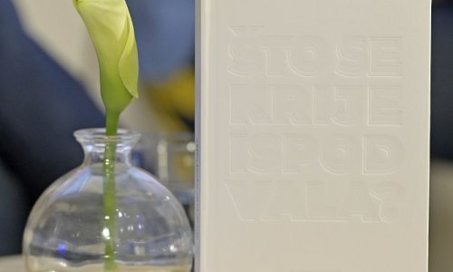 Demografija je goruće pitanje u Hrvatskoj – do kraja stoljeća će nas biti svega dva milijuna