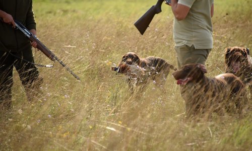 Hrvati najviše nabavljaju oružje za lov, ali stručnjaci otkrili u čemu je 'caka'