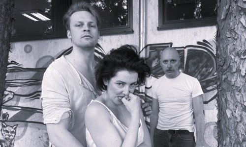 Stiže 'Tarzan' u režiji Aleksandra Švabića i Dražena Šivaka