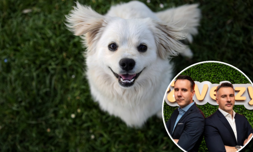 Imate kućnog ljubimca? Domaća aplikacija izravno vas spaja s veterinarom, a otkrili su nam i planove za širenje