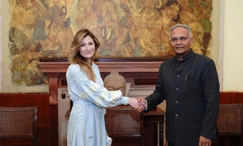 Zamjenica ukrajinskog ministra vanjskih poslova u Indiji zatražila pomoć