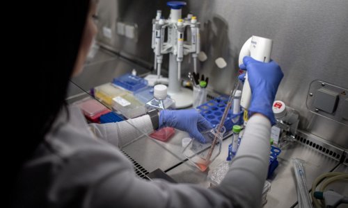 Zabrinjavajuća studija: Karcinom ima beskonačnu mogućnost razvijanja