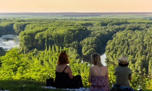 Najbolje ribe su na istoku