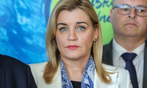 Brnjac: Problem radne snage ne možemo riješiti bez suradnje znanosti i gospodarstva