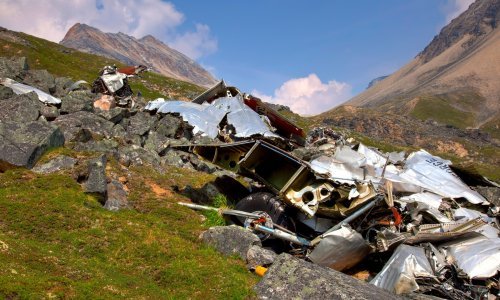 U Švicarskoj pao avion, poginulo 20 ljudi