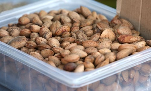 S tržišta se povlače bademi zbog prisutnosti cijanovodične kiseline