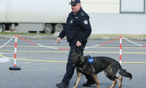 Na Bajakovu u njemačkom automobilu pronađen 251 komad streljiva
