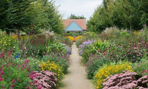 Ne trebaju im voda ni održavanje: Ovo su najljepše biljke za suha tla