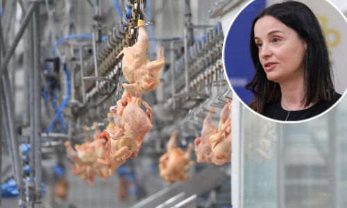Marija Vučković: 'Meso u Hrvatskoj je kvalitetno, nezadovoljavajućih uzoraka oko jedan posto'