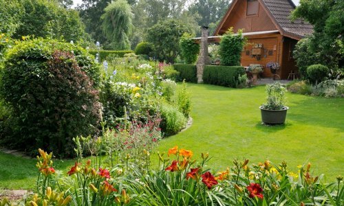 Ako mrzite održavati travnjak, ovo su najbolje alternative za vrt iz snova