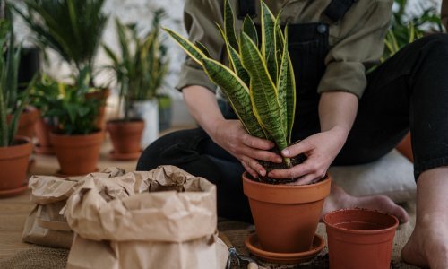 Dan planeta Zemlje trebamo slaviti svakodnevno uz ove iznimno jednostavne savjete