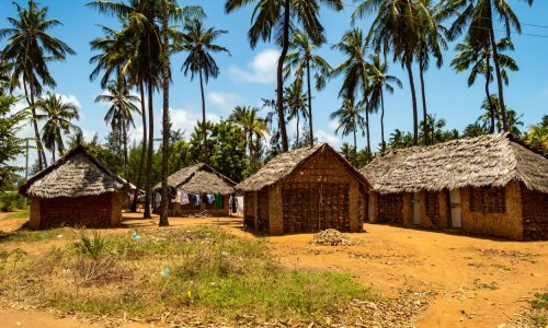 U Keniji ekshumirano 21 tijelo sekte koja se izgladnjivala da susretne Isusa