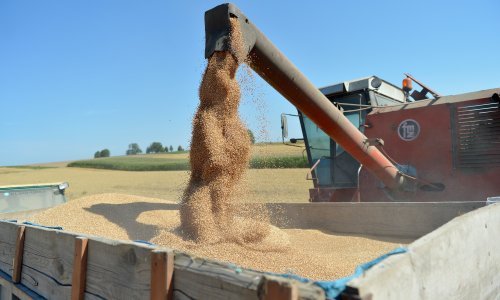 Poljoprivrednici na istoku EU-a: Žitnice su pune, tržišta nema, a naknada je smiješna