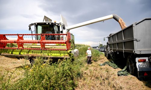 Ovo će biti važna godina za poljoprivrednike, ali i ugostitelje: Stiže novi zakon