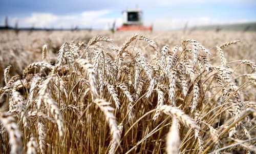 EK predlaže da se dopusti uporaba glifosata u sljedećih 10 godina