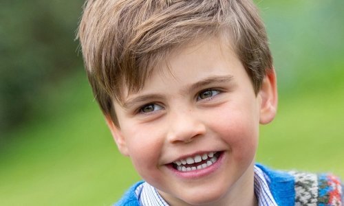 Male promjene: Novi portreti princa Louisa više ne slijede tradiciju