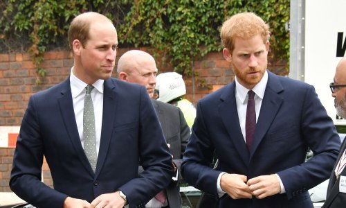 Princ Harry otkrio da je William od kontroverznog mogula dobio 'pozamašan iznos novca'