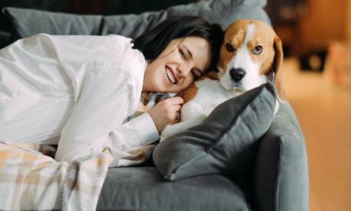 Voli li vas ili poslastice? Osam znakova koji otkrivaju da vas vaš pas stvarno voli