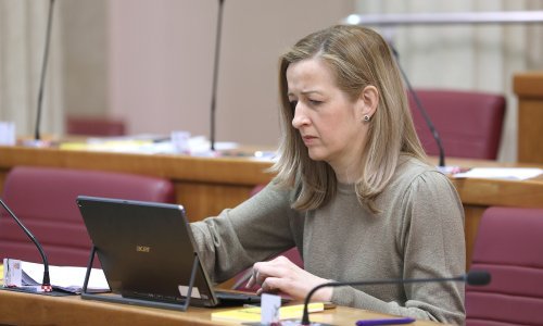 Oporba sasula kritike na račun Banožića; Ahmetović: Postupak je ljudsko dno