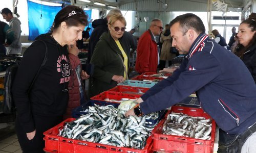 Srdele nikad sitnije, u kilogramu čak 70 komada: 'Propadaju kroz gradele'