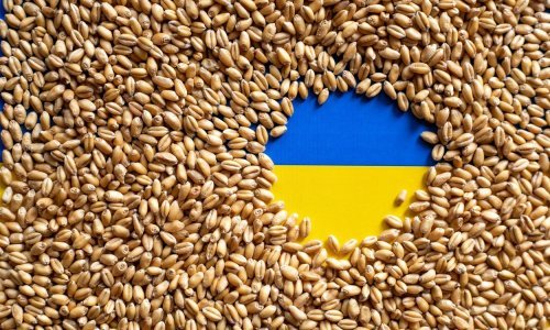Putin prijeti zabranom izvoza ukrajinskog žita, a UN ima prijedlog koji bi ga mogao odgovoriti