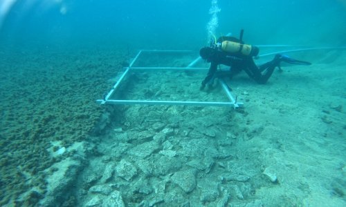Arheolozi kod Korčule pronašli potopljene ostatke ceste stare gotovo 7000 godina