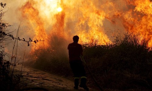 Buknuo veliki požar u tvornici za proizvodnju alkoholnih pića u Italiji; evakuira se područje