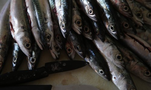 Kupci oprez, povlači se ova 'svježa' riba s trgovačkih polica