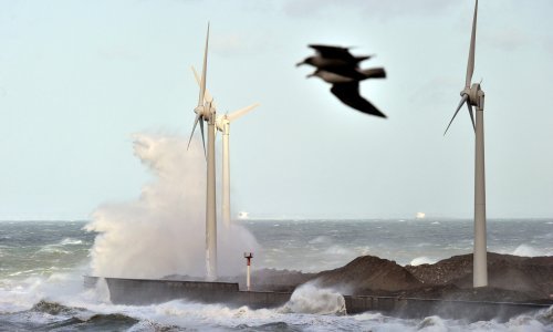 Mogu li vjetroturbine podnijeti uraganske udare vjetra?