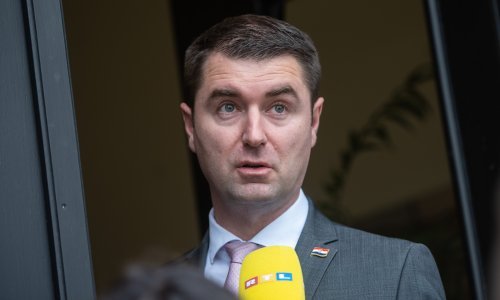 Filipović: U idućem razdoblju se ne očekuje 'divljanje' cijena plina i električne energije