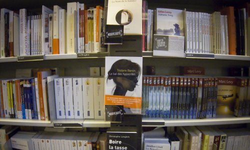 Najčitateljica u 2022. dvanaestogodišnja Angie Firm Penava