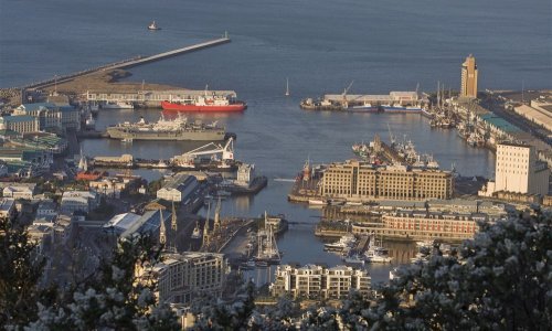 Američki ambasador se ispričao Južnoj Africi: 'Prešao sam crtu'