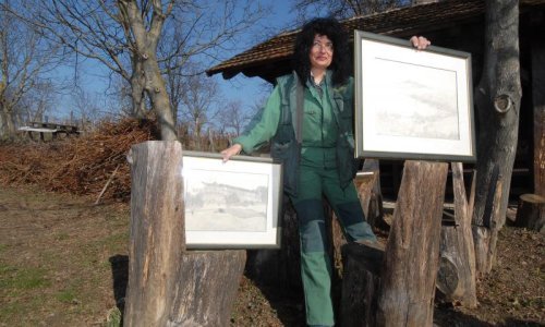 Peveci se bacili u novi biznis