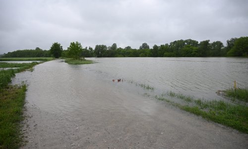 Hrvatske vode: U srijedu stiže veliki vodeni val Save iz Slovenije