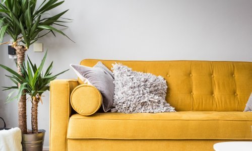 Teško im je odoljeti: Ove velike sobne biljke garancija su uspješnog uređenja