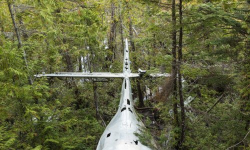 Četvero djece pronađeno živo u džungli 15 dana nakon pada aviona