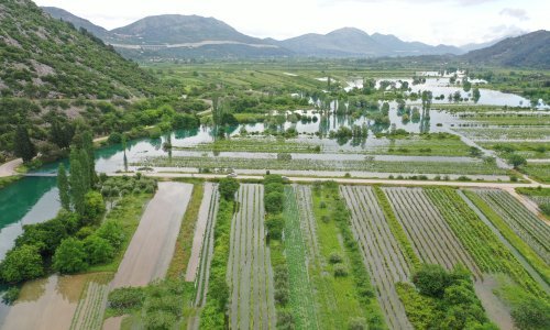 Poplave odnijele vrgoračke jagode: To je završena priča
