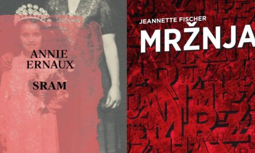'Sram' Annie Ernaux i 'Mržnja' Jeannette Fischer novi naslovi OceanMora