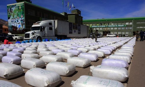 U Boliviji zaplijenjeno 9,2 tone lišća koke iz Perua