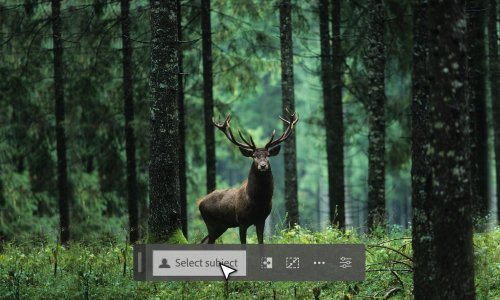 Adobeov Photoshop pojačan je umjetnom inteligencijom, evo što sad nudi