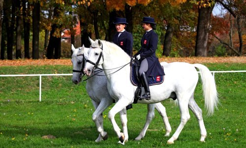 Saznajte u kojem dijelu Hrvatske obiteljski odmor uistinu može biti kraljevski