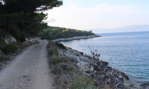 Poziv za prijave za sudjelovanje u rezidencijalnom programu 'Ulysses' Shelter'