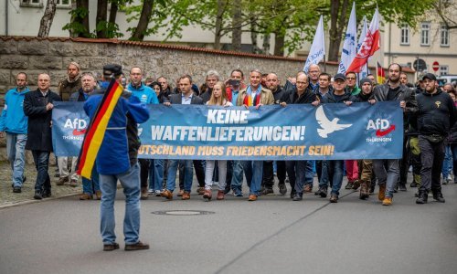 Desnici u Njemačkoj nezaustavljivo raste popularnost, prestigli su Zelene